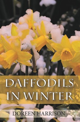 Daffodils in Winter (Paperback)