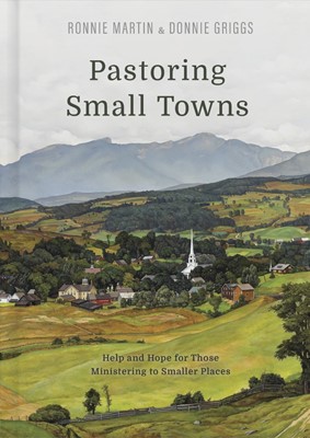 Pastoring Small Towns (Hard Cover)