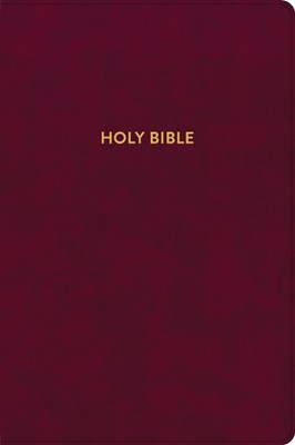 KJV Rainbow Study Bible, Burgundy LeatherTouch (Imitation Leather)