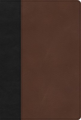KJV Large Print Thinline Bible, Black/Brown LeatherTouch (Imitation Leather)