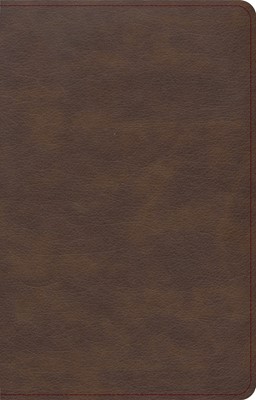 KJV Single-Column Compact Bible, Brown LeatherTouch (Imitation Leather)