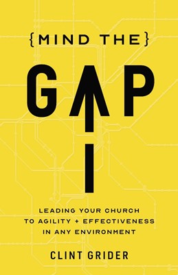 Mind the Gap (Paperback)