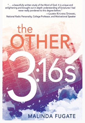 The Other Three Sixteens (Paperback)