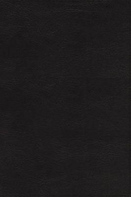 NRSVUE Holy Bible Leathersoft, Black, Comfort Print (Imitation Leather)