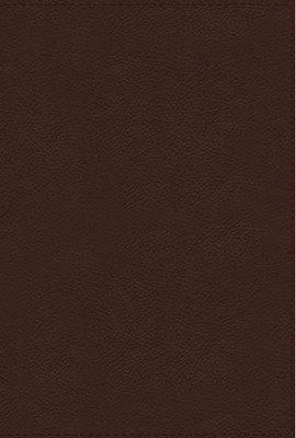 NRSVue Holy Bible with Apocrypha Leathersoft, Brown (Imitation Leather)