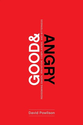 Good and Angry (Paperback)