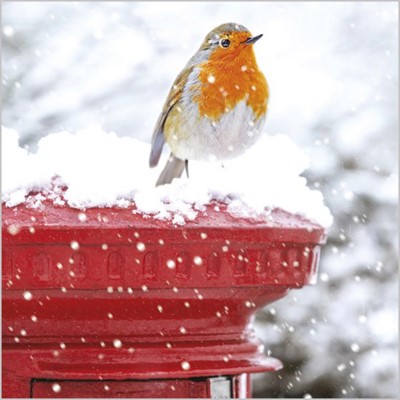 Christmas Cards: Robin On Post Box (Pack of 4) (Cards)