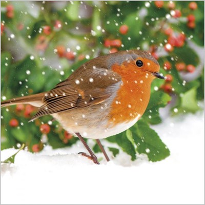 Christmas Cards: Robin In Snow (Pack of 4) (Cards)
