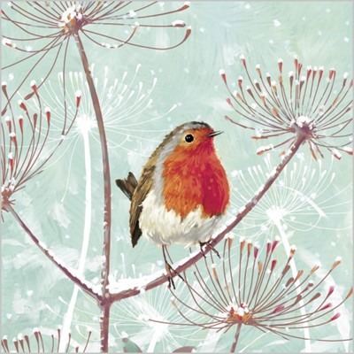 Christmas Cards: Robin On Branch (Pack of 4) (Cards)