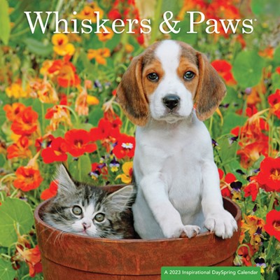 2023 Calendar: Whiskers & Paws (Calendar)