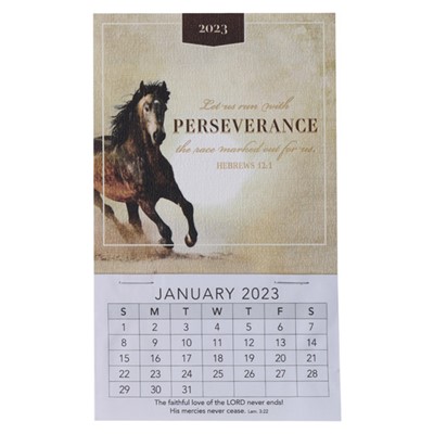 2023 Mini Magnetic Calendar: Perseverance (Calendar)