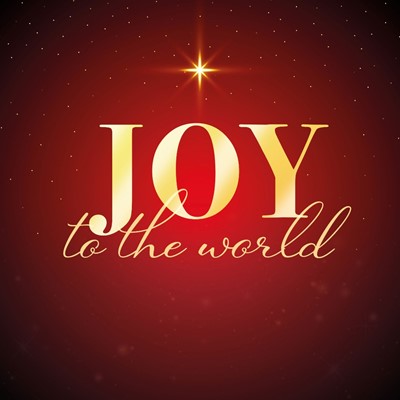 Luxury Christmas Cards: Joy to the World (Pack of 10) (Cards)