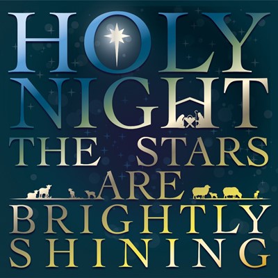 Luxury Christmas Cards: Holy Night (Pack of 10) (Cards)