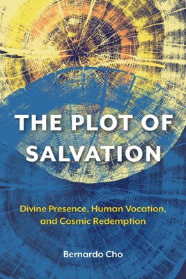 The Plot of Salvation (Paperback)