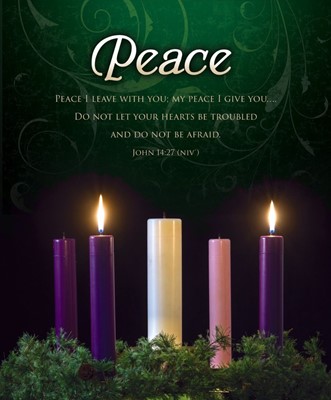 Peace Advent Week 2 Large Bulletin (pack of 100) (Bulletin)