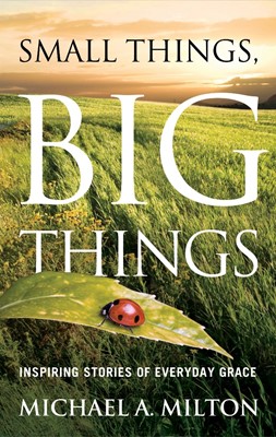 Small Things Big Things (Paperback)