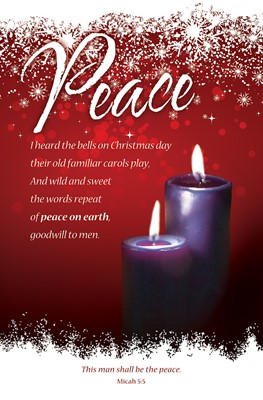 Peace Advent Week 2 Bulletin (pack of 100) (Bulletin)