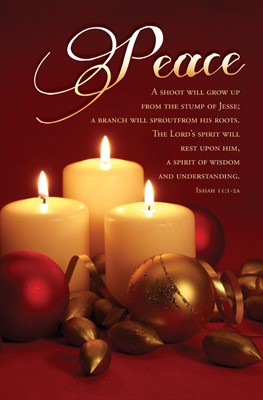 Peace Isaiah 11:1 Advent Week 2 Bulletin (pack of 100) (Bulletin)
