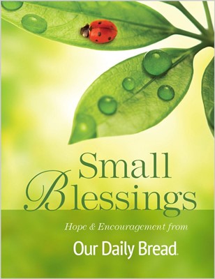 Small Blessings (Paperback)