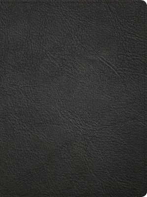 CSB Life Counsel Bible, Genuine Leather, Indexed (Genuine Leather)