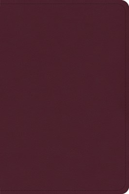 CSB Large Print Compact Reference Bible, Cranberry (Imitation Leather)