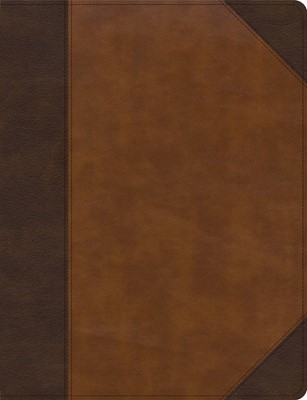 CSB Notetaking Bible, Large Print Edition, Brown/Tan (Imitation Leather)