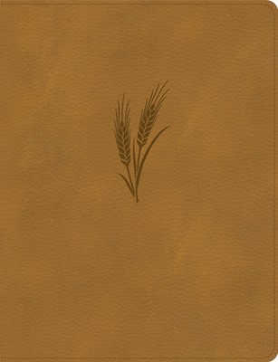 CSB Notetaking Bible, Large Print Edition, Camel (Imitation Leather)