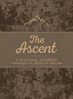 The Ascent (Imitation Leather)