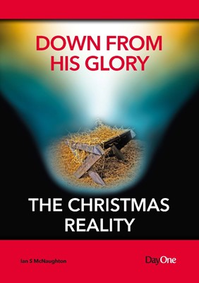 Down from His Glory (Paperback)