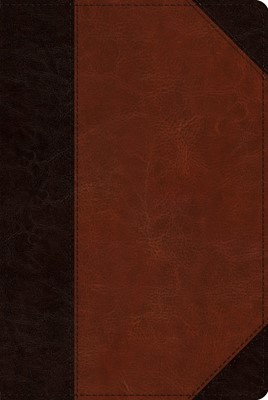 ESV Reader's Bible, Brown/Cordovan, Portfolio Design (Imitation Leather)