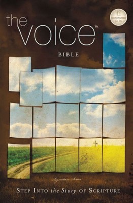 The Voice Bible, Personal Size (Paperback)