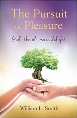 The Pursuit Of Pleasure (Paperback)