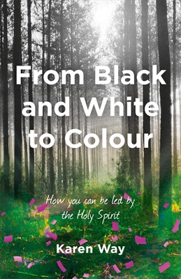 From Black and White to Colour (Paperback)