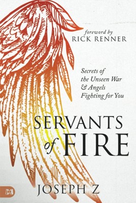 Servants of Fire (Paperback)