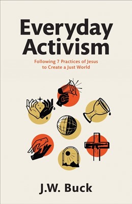 Everyday Activism (Paperback)