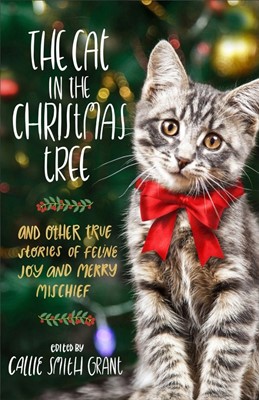 The Cat in the Christmas Tree (Paperback)