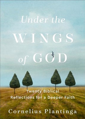 Under the Wings of God (Paperback)
