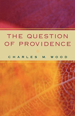 Question of Providence (Paperback)
