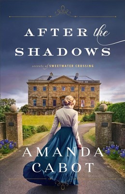 After the Shadows (Paperback)