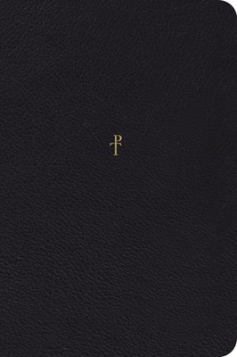 The Greek New Testament, Produced at Tyndale House (Genuine Leather)