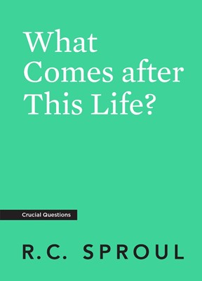 What Comes After This Life? (Paperback)
