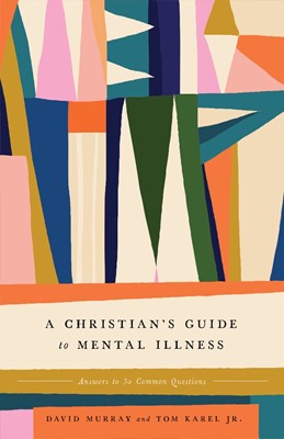 Christian's Guide to Mental Illness, A (Paperback)