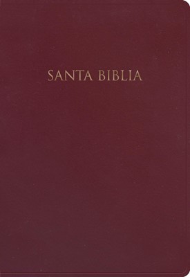 NVI Biblia para Regalos y Premios, borgoña imitación piel (Imitation Leather)
