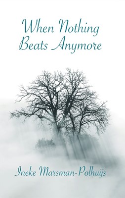 When Nothing Beats Anymore (Paperback)