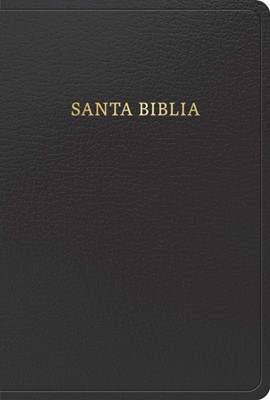 RVR 1960 Biblia Letra Grande Tamaño Manual, Negro (Imitation Leather)
