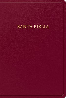 RVR 1960 Biblia Letra Grande TamañO Manual, Borgoña (Imitation Leather)