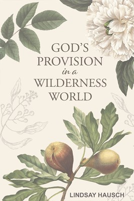 God's Provision in a Wilderness World (Paperback)