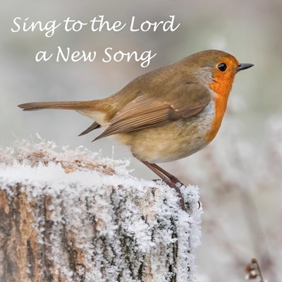 Sing to the Lord Christmas Cards (pack of 10) (Cards)