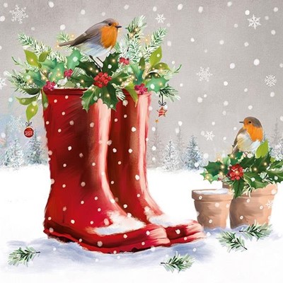 Robin on Wellies Christmas Cards (pack of 10) (Cards)