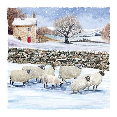 Winter Woolies Christmas Cards (pack of 10) (Cards)